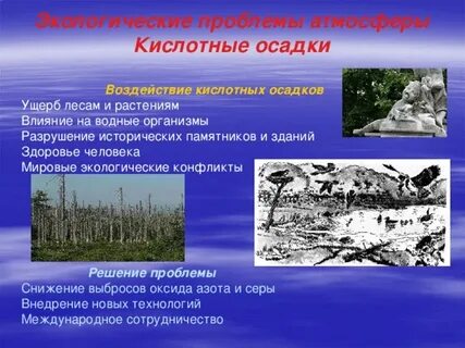 Сообщение на тему кислотные дожди