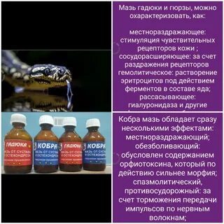 Мазь гадюки