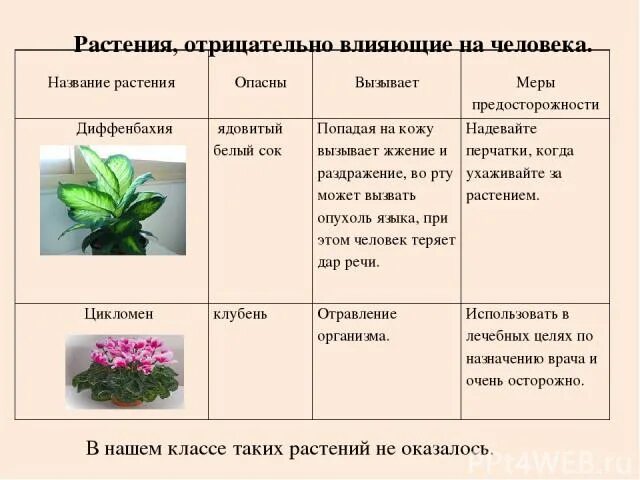 Эксперименты с растениями. Исследовательские работы по растениям. Влияние фитонцидов на сохранность продуктов питания. Лекарственные травы проект цели и задачи. Гипотеза хищные растения.