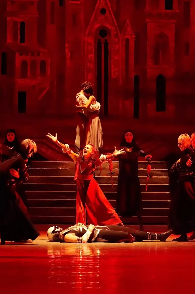 Le rouge et le noir. The phantom of the opera book. Слушать аудиокнигу красная опера. Призрак оперы 1989. Слушать аудиокнигу красная опера.