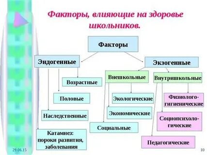 Эндогенные факторы развития