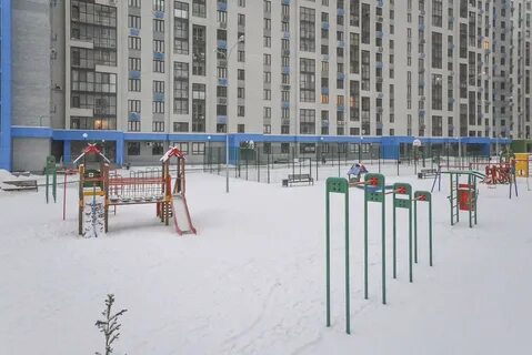 Полевая тюмень