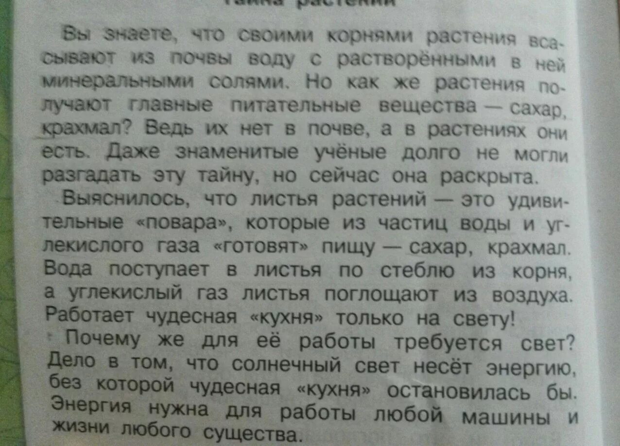 Прочитайте текст разделите его на три части. Текст учебника. Прочитай текст. Чтение учебник текст. Текст тайна растений разделить.