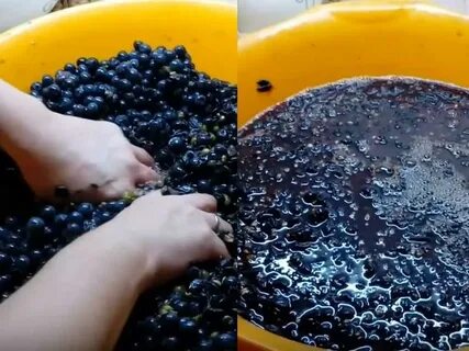 Рецепт вина из сока винограда