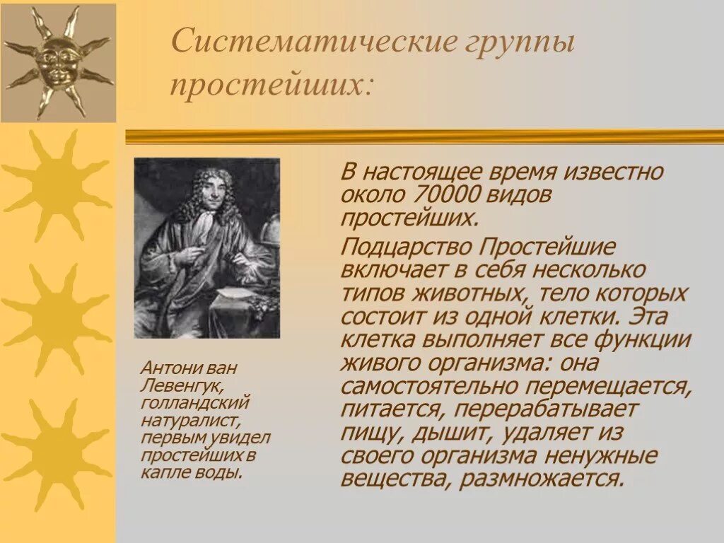 Особенности группы простейших. Группы простейших. Систематические группы простейших. Группы простейших 7 класс. Систематические группы простейших 7 класс.