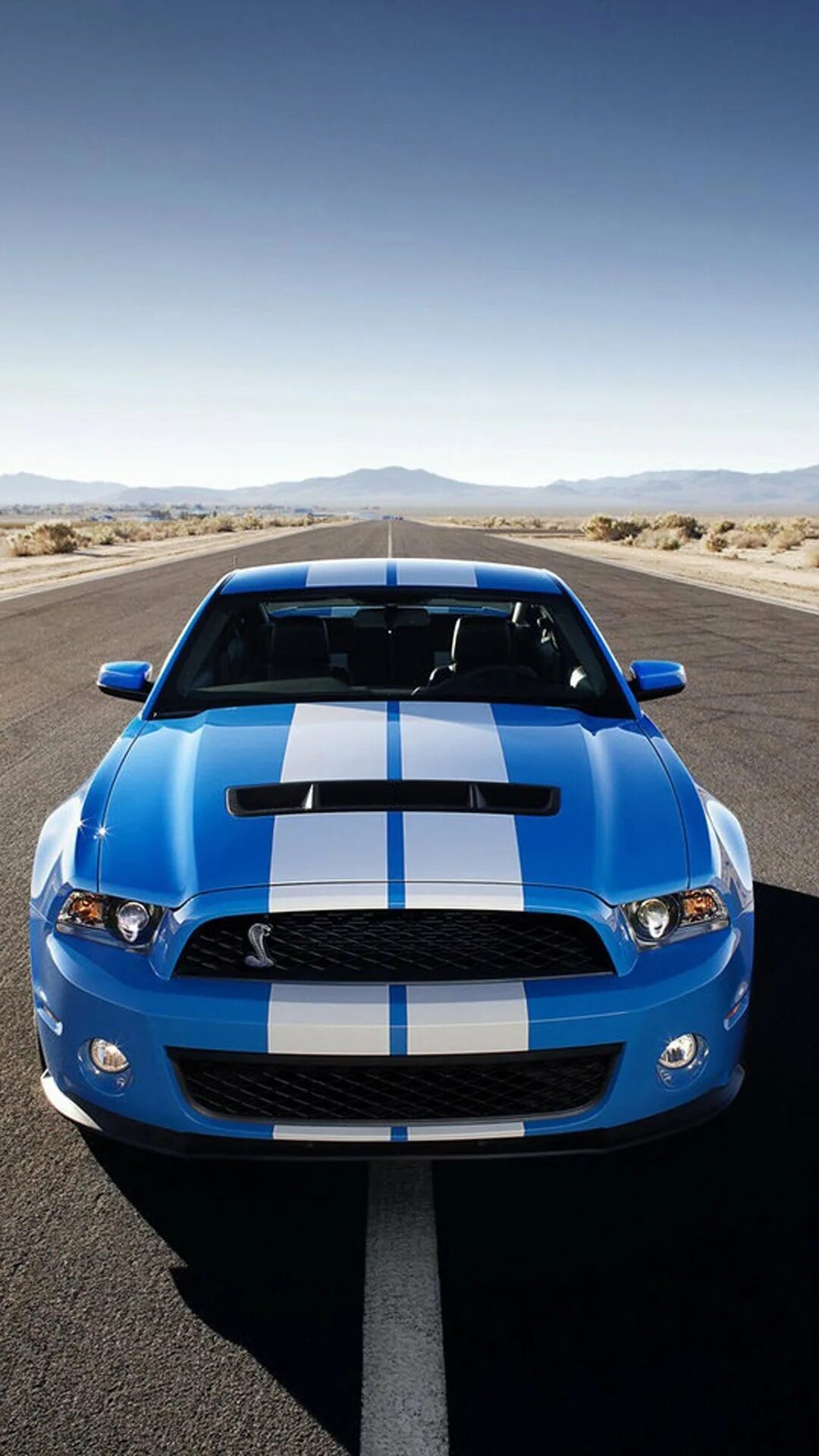 Ford Shelby gt500. Форд Мустанг Шелби gt 500. Mustang Shelby gt500. Ford Mustang Shelby. Размер 480