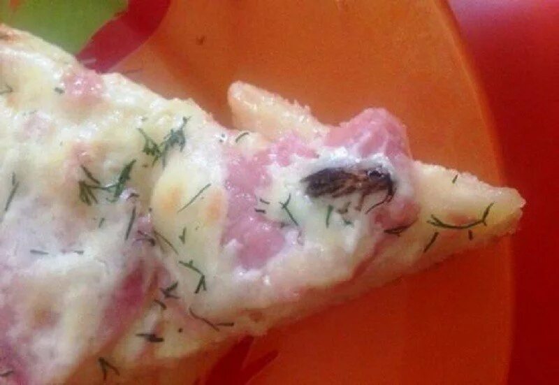 Которые были найдены в еде. Которые были найдены в еде
