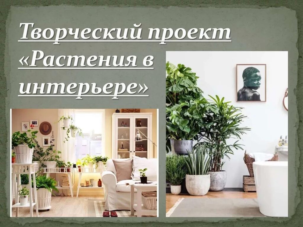 Проекты про растение в интерьере дома