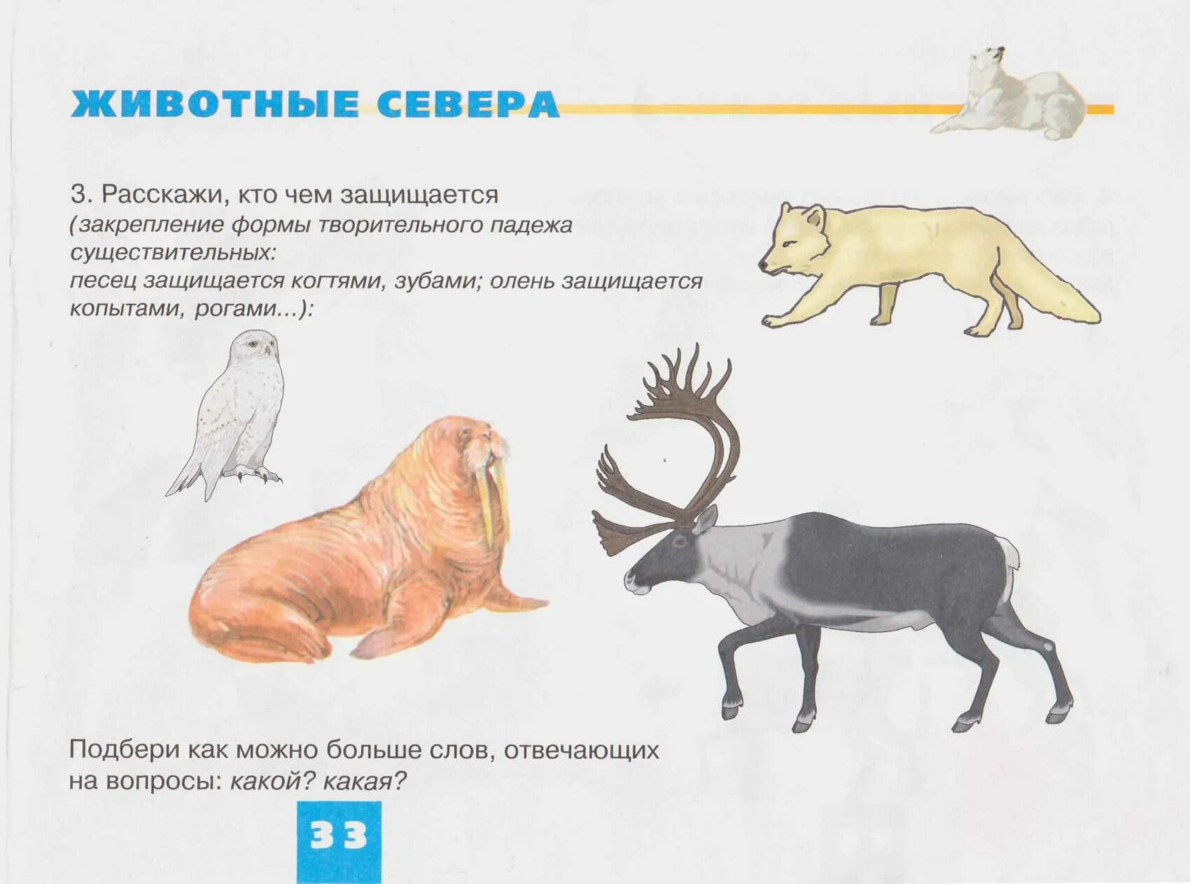 Задания животные севера. Лексическая тема дикие животные севера. животные северных стран задания. задания для детей по теме животные севера. задания для дошкольников животные сеера.