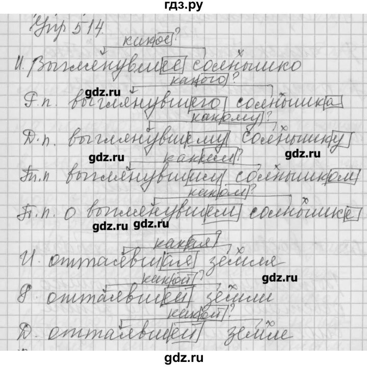 Русский язык 6 класс упражнение 514. Упражнение 511 по русскому языку 6 класс. Русский язык 6 класс упражнение 515.