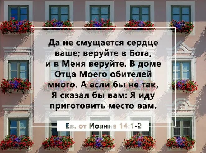 Баба твое место на кухне. Анекдоты про семью. Женщина твоё место на кухне. Легко на душе. Позитивная мотивация.