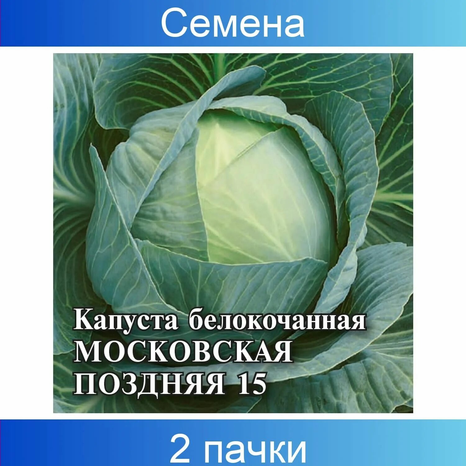 Капуста белокочанная вьюга СЕДЕК. Семена капуста белокочанная вьюга СЕДЕК. Семена капуста "вьюга "f1 0.5 г. Капуста б/к вьюга. Капуста вьюга описание сорта