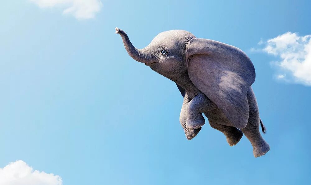 An elephant can t fly. Слоненок Дамбо. Дамбо. Летающий слонёнок. Дамбо слоны. Радостный слон.