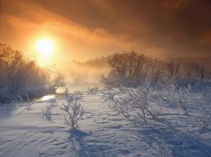 Зимнее утро дата