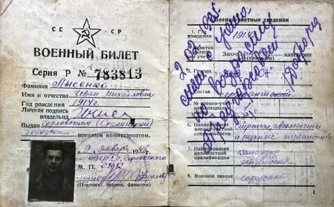 Стать 17 б