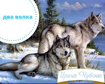 Фф сборник волки