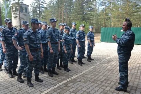 Полиция сосново