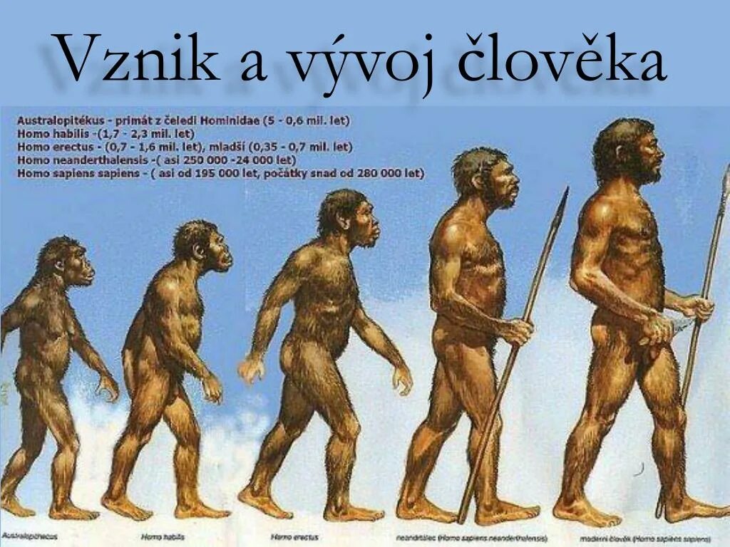 Хомо сапиенс человек разумный сформировался около. Предки человека. Появление человека разумного. Человек разумный появился на земле. Появление первого разумного человека.