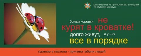 Социальная реклама беларусь