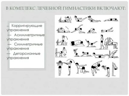 Физические упражнения литература