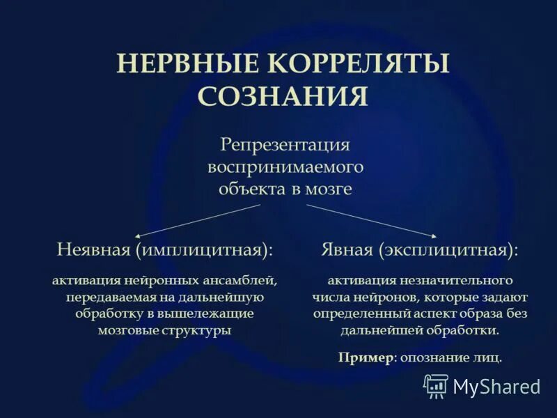 Репрезентация пространства. Репрезентация это. Внутренняя репрезентация. Репрезентация это в лингвистике. Репрезентация это простыми.