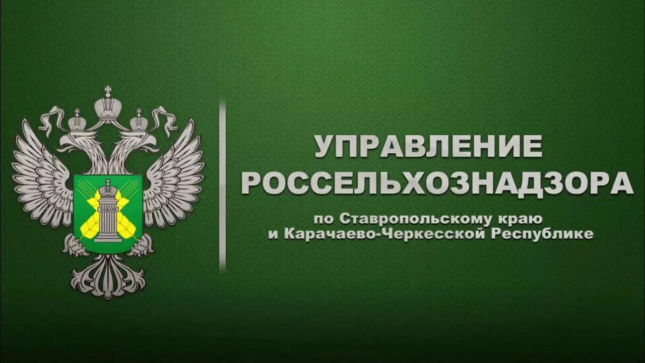 Сайт россельхознадзора красноярского. Управление Россельхознадзора. Герб Россельхознадзора. Россельхознадзор логотип. Россельхознадзор картинки.