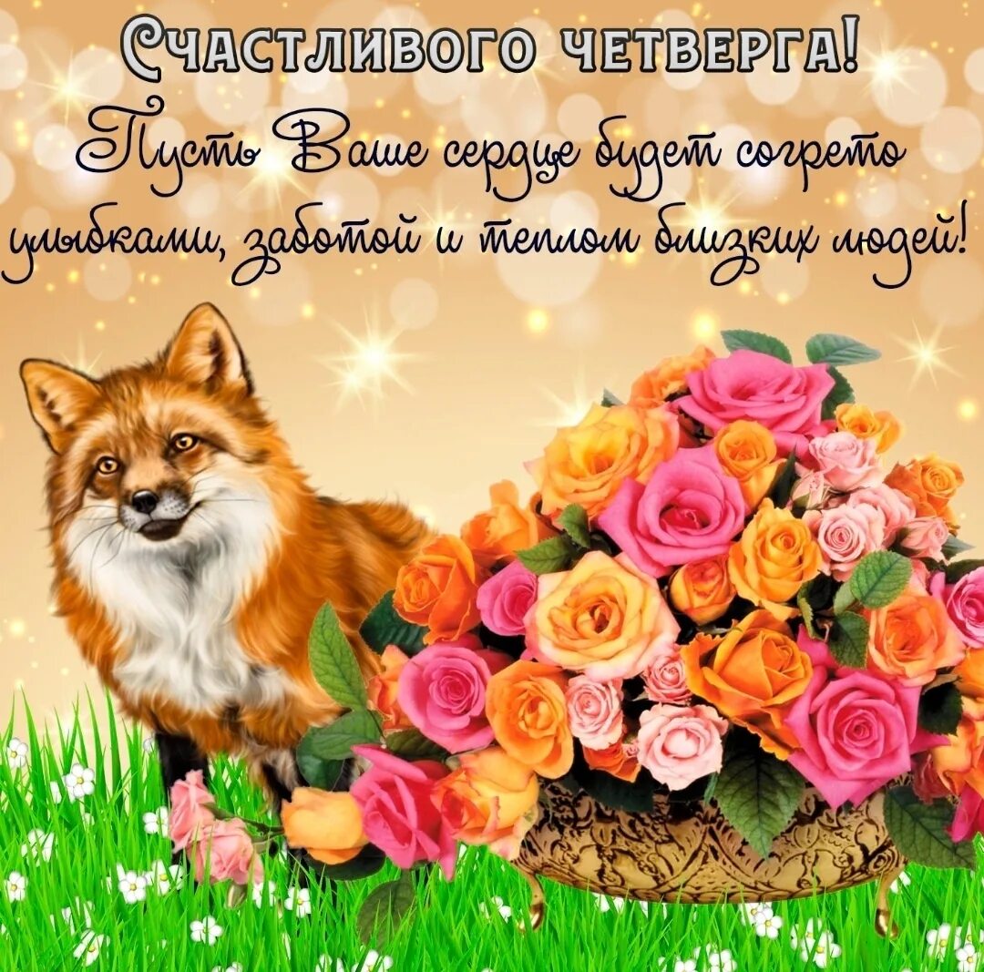 Добрый день утро четверга. Открытки с пожеланиями. Открытки на каждый день. Добрые пожелания на каждый. Открытки с пожеланиями на каждый день.