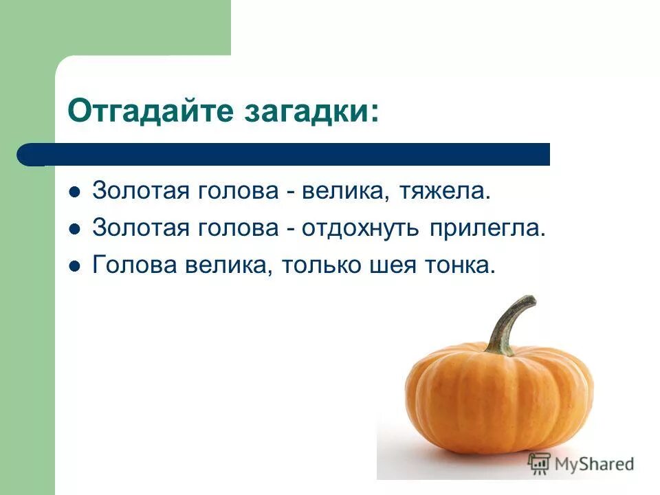 с ответами загадки с ответами. отгадывай загадки. угадывать загадки. одина голова хорошо, а две лучше. отгадывать загадки.