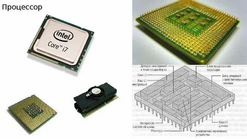 Processor device