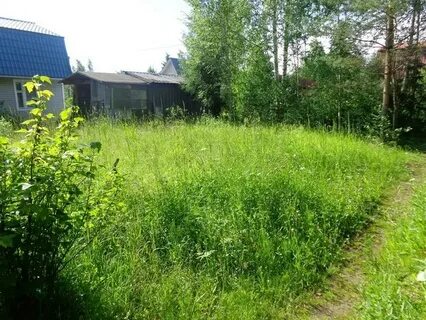 Погода белогорка гатчинский