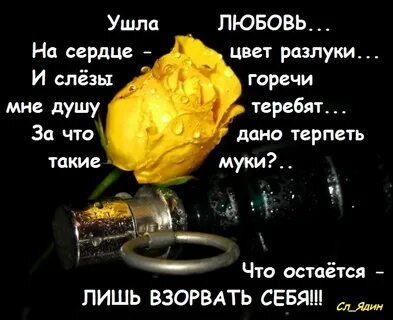 Цвет расставания