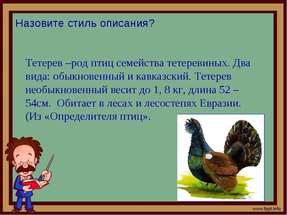 Описание животного 2 класс русский язык. Урок описание животного. Тетерев птица описание. Урок как описать животное. Сочинение описание животного.