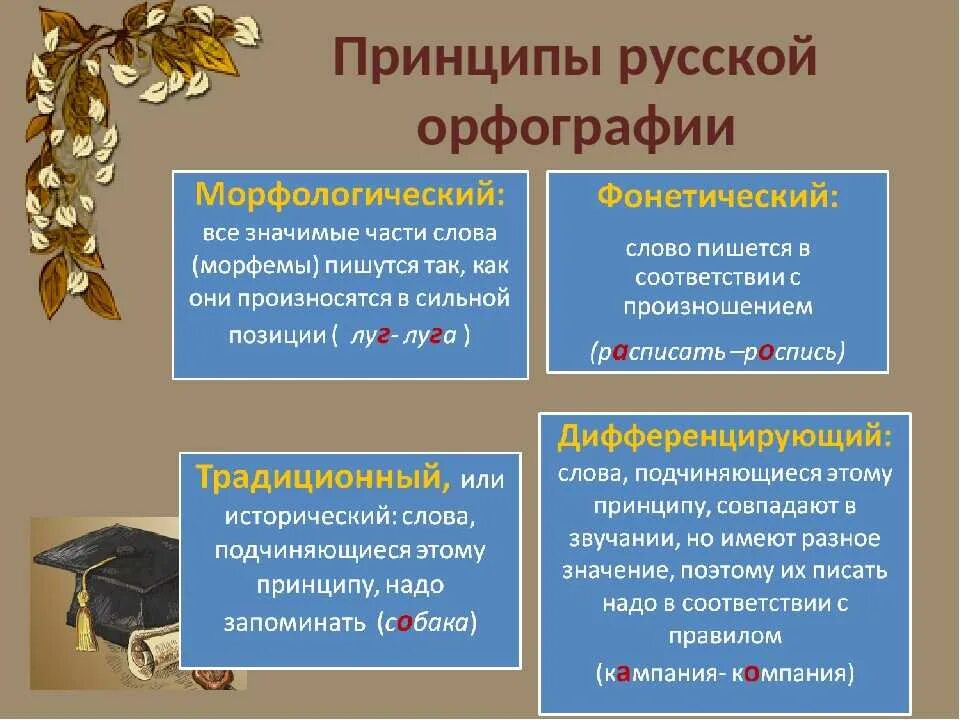 Назовите принципы русской орфографии. Морфологический традиционный фонетический принцип орфографии. Основные орфографические принципы. Основной принцип русской орфографии. Слово бичую