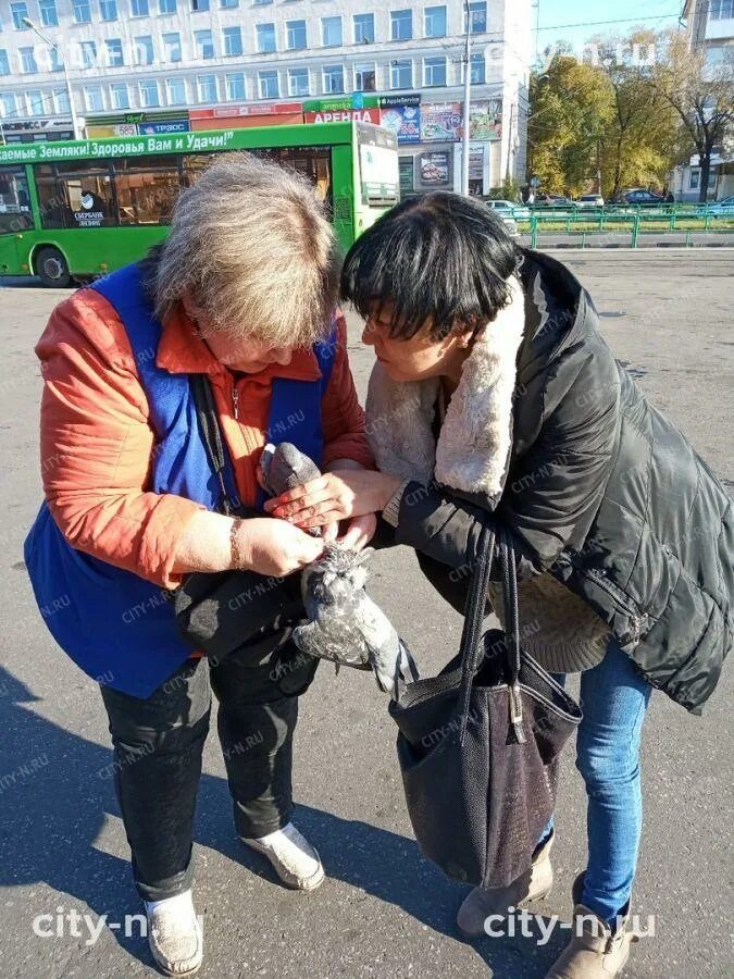 Новости новокузнецка с фурами на донбасс. Приключения русского экстрима. Программ новокузнецк спас. Программ новокузнецк спас. Николай панюшкин поймал ребенка выпавшего из окна.