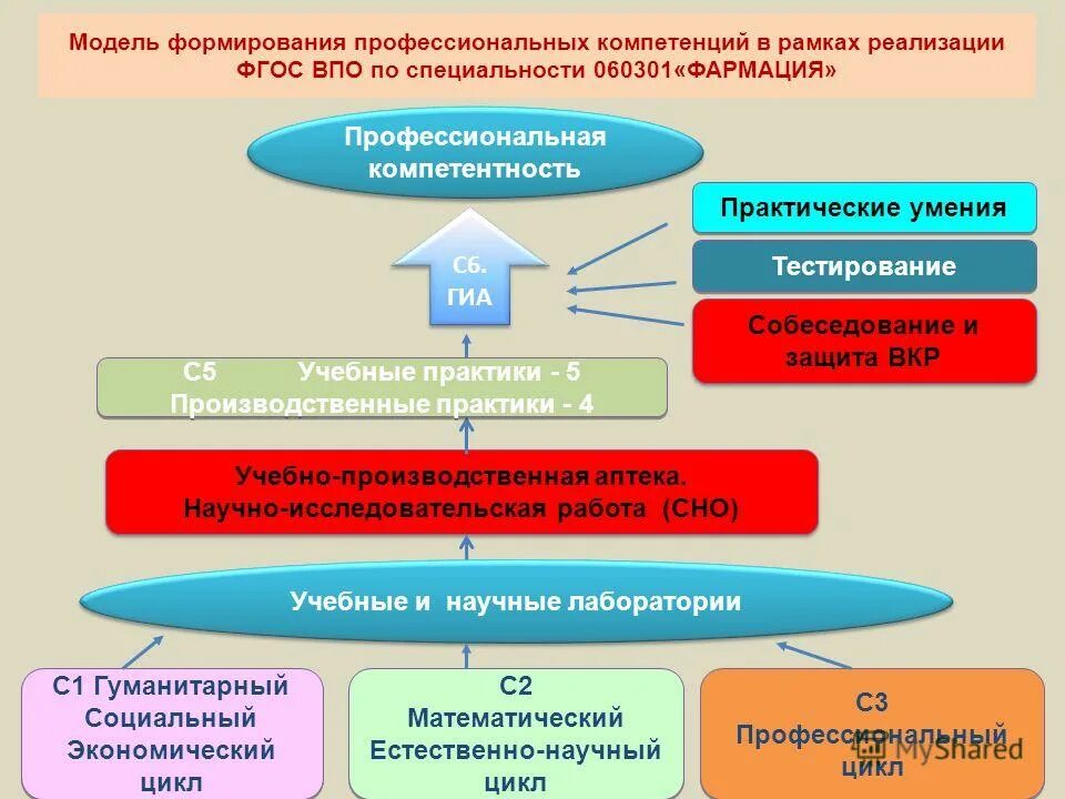 Практический опыт в формировании профессиональных компетенций. Модель развития профессиональных компетенций. профессиональные компетенции в фармации.