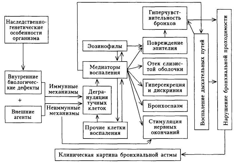 Схема ба. Схема патогенеза аллергической бронхиальной астмы. Патогенез бронхиальной астмы схема. Механизм развития бронхиальной астмы схема. Этиология и патогенез бронхиальной астмы схема.