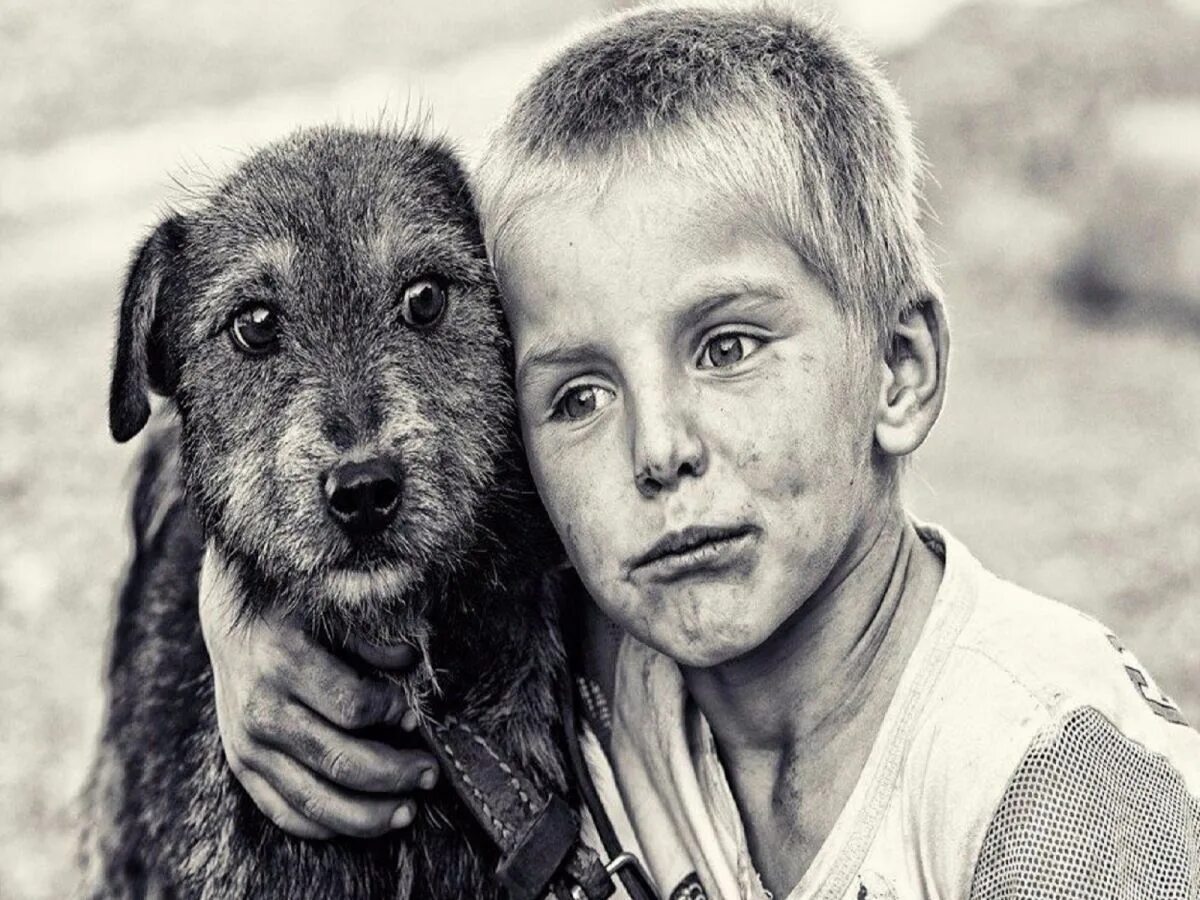 Какой самый 1 друг человека. Дамбаев Баир. Дети и бездомные животные. Мальчик с собакой. Бездомные животные и человек.