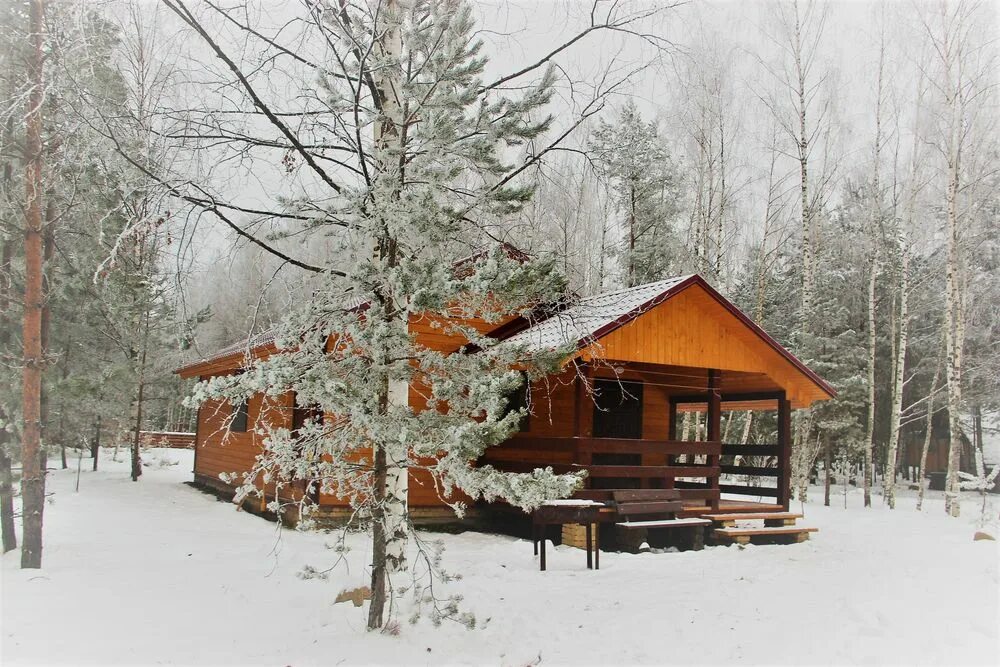 коприно база отдыха ярославль. дачный клуб коприно рыбинск. коприно рыбинское водохранилище. коприно. село коприно рыбинский район ярославская область.