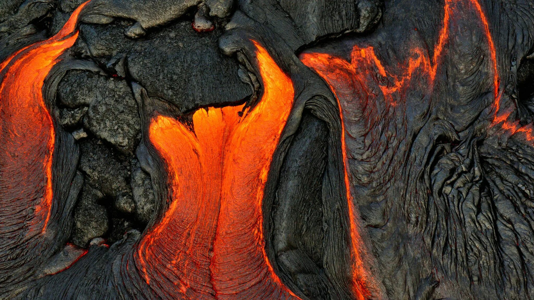 Lava spruce