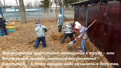 Помогу на участке