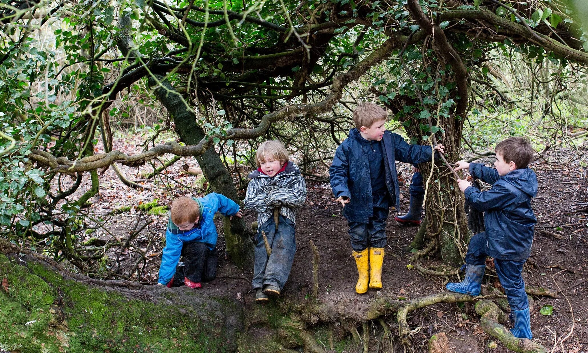 Forest school. "forest school / лесная школа" скрап. Forest school london. Металлический лес архитектура. Notgrove forest school.