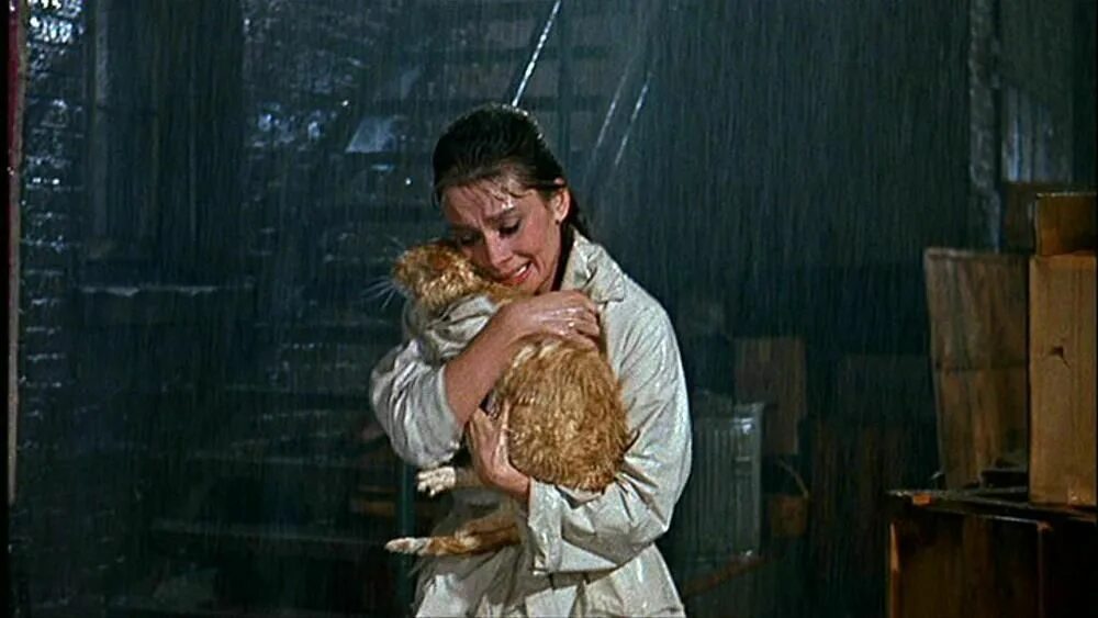 Коты холли