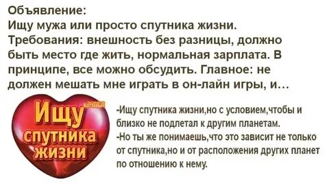 Спутник твоей жизни