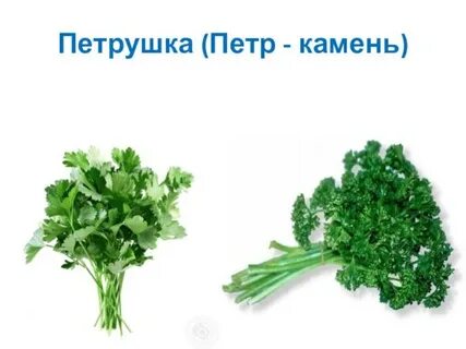 Растения старого света