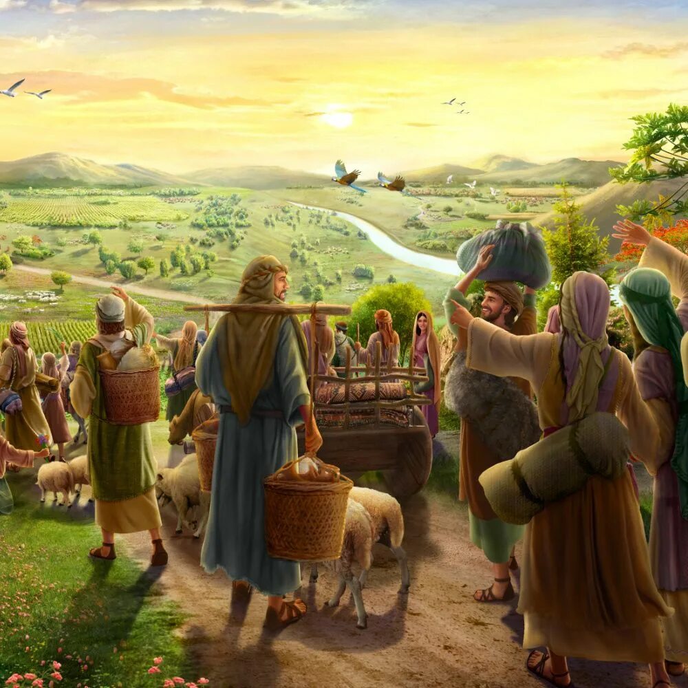 Земные пейзажи. Земля обетованная карта. Израиль земля обетованная. Где земля обетованная. Израиль земля обетованная.