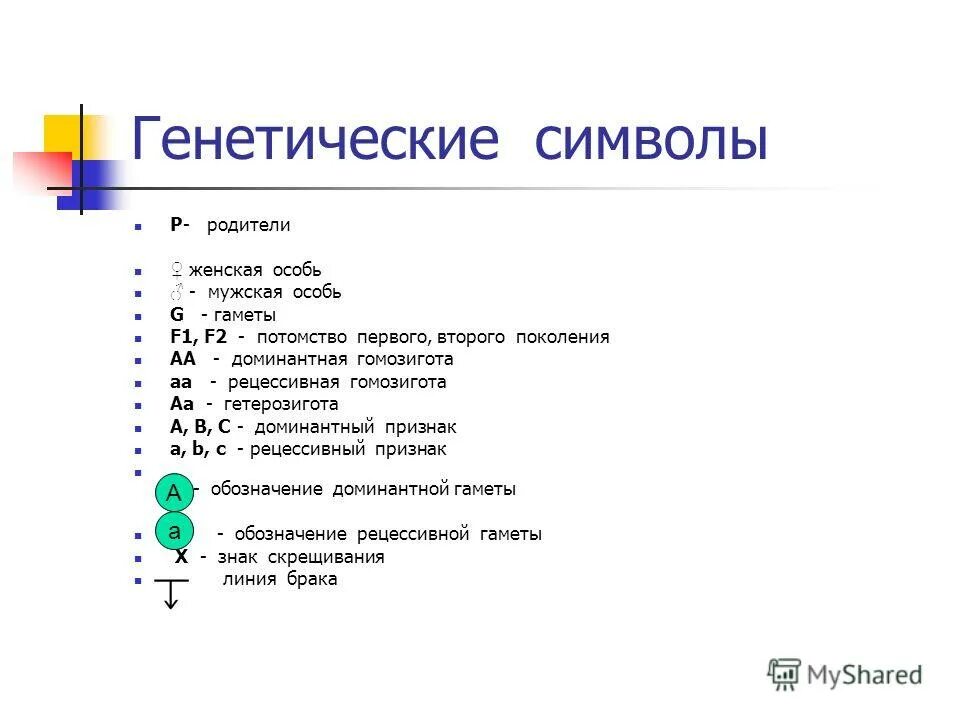 Потомок второго поколения