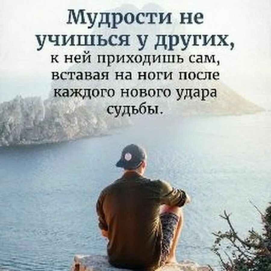 Мудрость фото. Мудрость жизни. Человеческая мудрость. Мудрость цитаты. Мудрости из жизненного опыта.