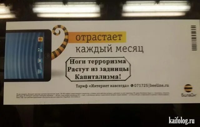 Домашний интернет навсегда. Интернет навсегда. бесплатный интернет навсегда.