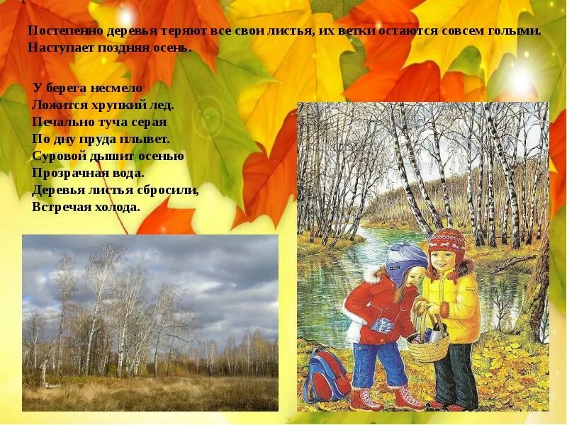 Презентация листопад. Лист теряет дерево. Лист теряет дерево. Деревья потеряли свою листву. Какие деревья сбрасывают листья осенью.