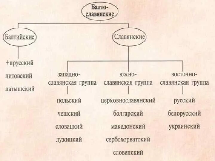 Тип славянских языков